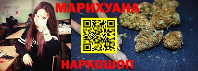 шишки Кингисепп