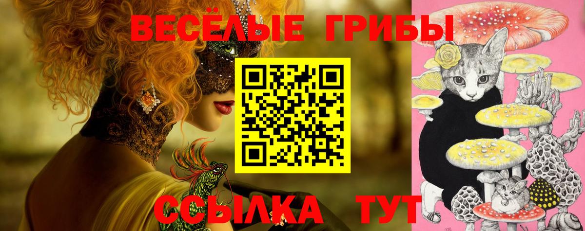 Крымск  Галлюциногенные грибы прущие грибы  Галлюциногенные грибы Magic Shrooms  Вход с VPN 